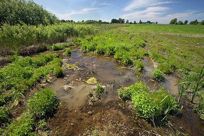 BUITEN BEELD Foto: 249865