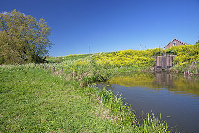 BUITEN BEELD Foto: 249880