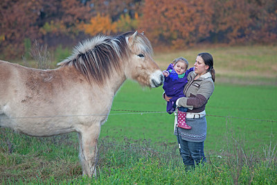 BUITEN BEELD Foto: 249882