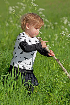 BUITEN BEELD Foto: 249937