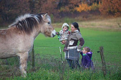 BUITEN BEELD Foto: 249948