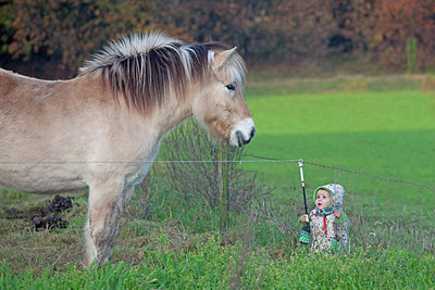 BUITEN BEELD Foto: 249984