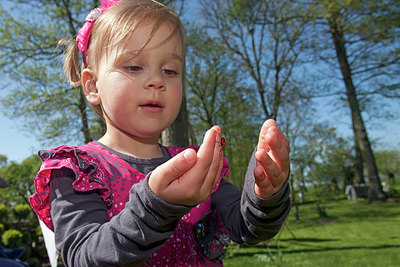 BUITEN BEELD Foto: 249987