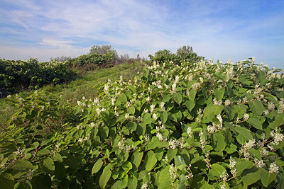 BUITEN BEELD Foto: 250010