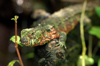 BUITEN BEELD Foto: 250054