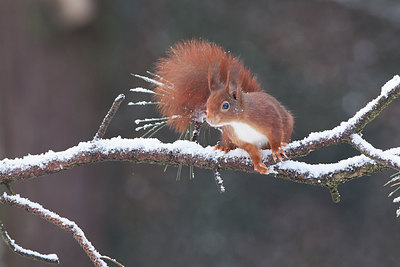 BUITEN BEELD Foto: 250203