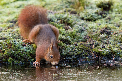 BUITEN BEELD Foto: 250217