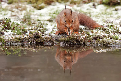 BUITEN BEELD Foto: 250223