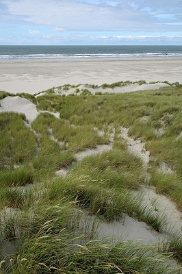 BUITEN BEELD Foto: 250269