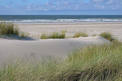 BUITEN BEELD Foto: 250271