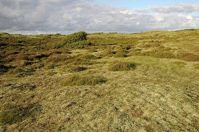 BUITEN BEELD Foto: 250289