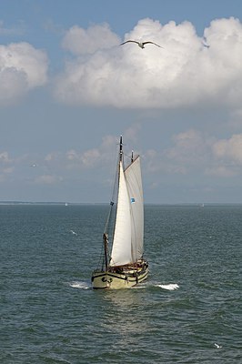 BUITEN BEELD Foto: 250342