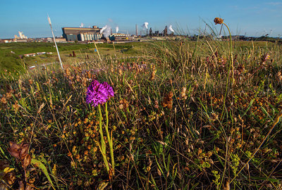 BUITEN BEELD Foto: 250387