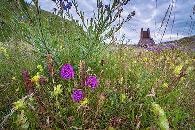 BUITEN BEELD Foto: 250404