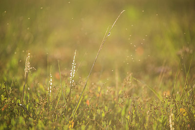 BUITEN BEELD Foto: 250466