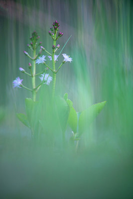 BUITEN BEELD Foto: 250483