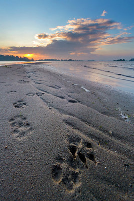 BUITEN BEELD Foto: 250509