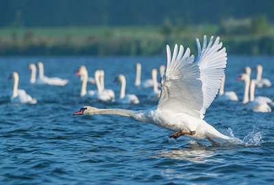 BUITEN BEELD Foto: 250519