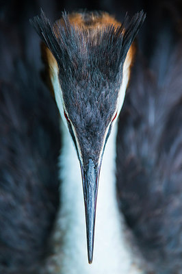 BUITEN BEELD Foto: 250563