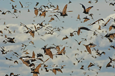 BUITEN BEELD Foto: 250588