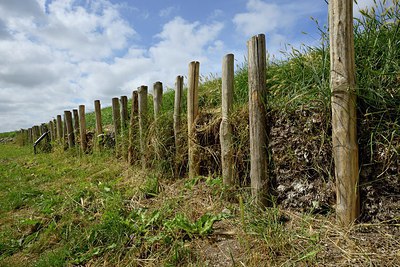 BUITEN BEELD Foto: 250628