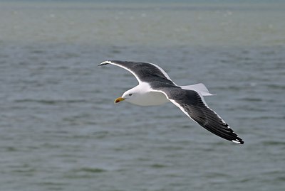BUITEN BEELD Foto: 250738