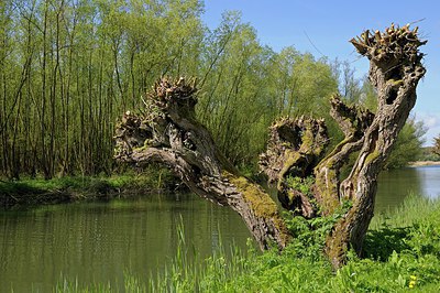 BUITEN BEELD Foto: 250740
