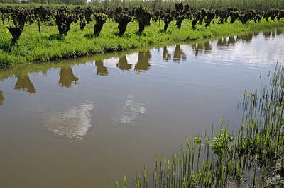 BUITEN BEELD Foto: 250741