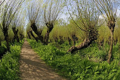 BUITEN BEELD Foto: 250746