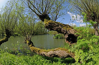 BUITEN BEELD Foto: 250754