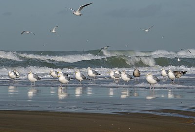 BUITEN BEELD Foto: 250760