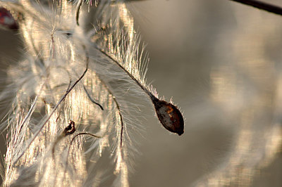 BUITEN BEELD Foto: 250870