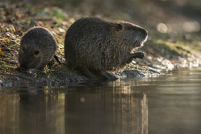 BUITEN BEELD Foto: 250897