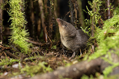 BUITEN BEELD Foto: 250941