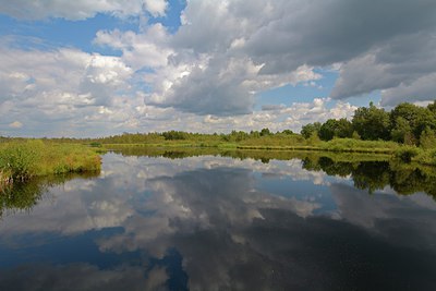 BUITEN BEELD Foto: 250951