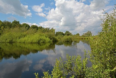 BUITEN BEELD Foto: 250954