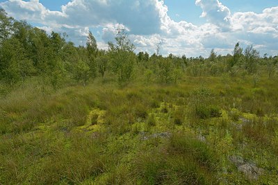 BUITEN BEELD Foto: 250955