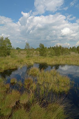 BUITEN BEELD Foto: 250956