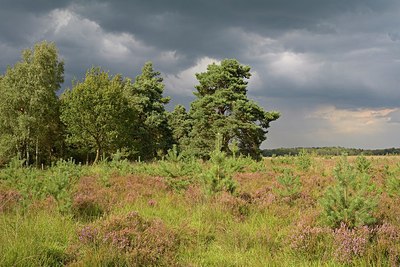 BUITEN BEELD Foto: 250963