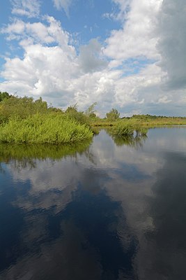 BUITEN BEELD Foto: 250968