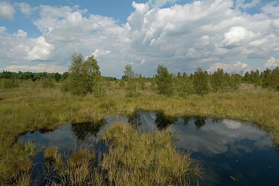 BUITEN BEELD Foto: 250970
