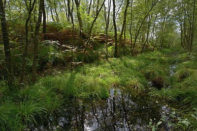 BUITEN BEELD Foto: 250988