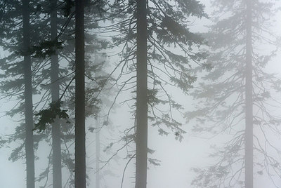 BUITEN BEELD Foto: 251037