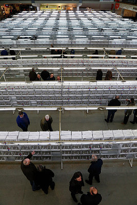 BUITEN BEELD Foto: 251088