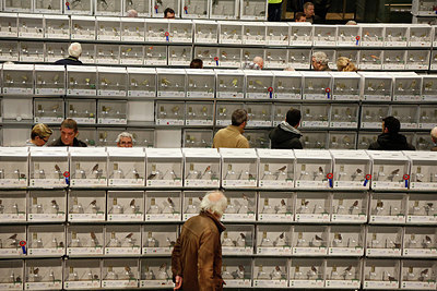BUITEN BEELD Foto: 251092