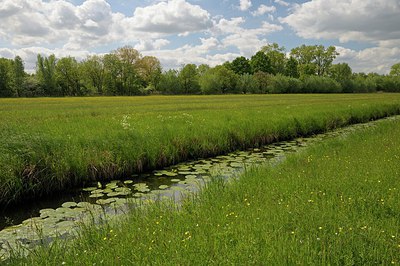 BUITEN BEELD Foto: 251140