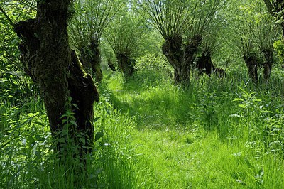 BUITEN BEELD Foto: 251141