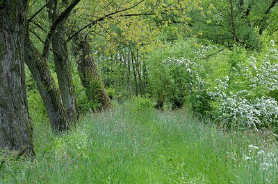 BUITEN BEELD Foto: 251143
