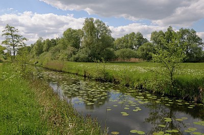 BUITEN BEELD Foto: 251148