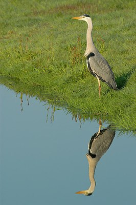 BUITEN BEELD Foto: 251240
